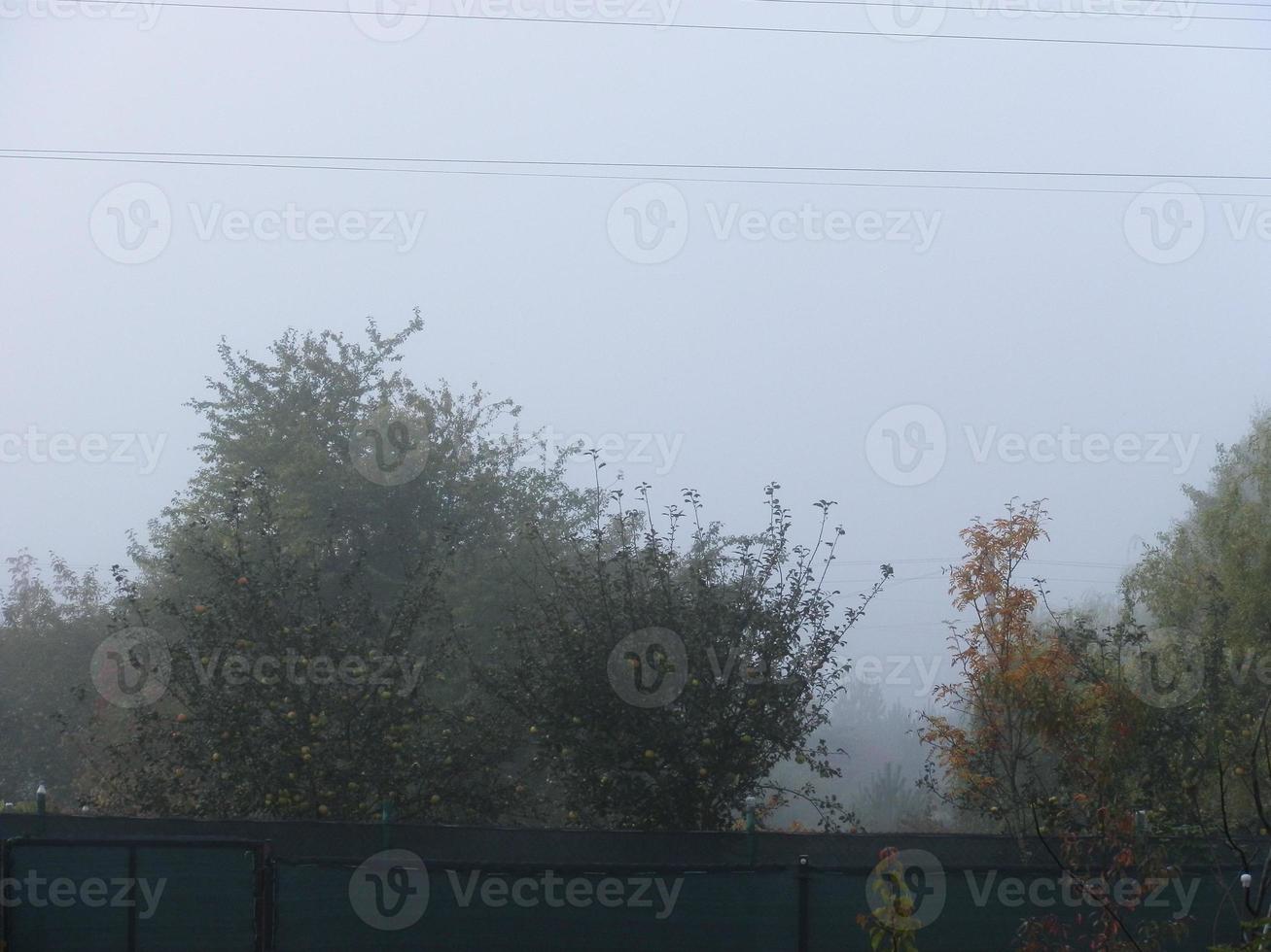 niebla de la mañana de otoño en el pueblo foto