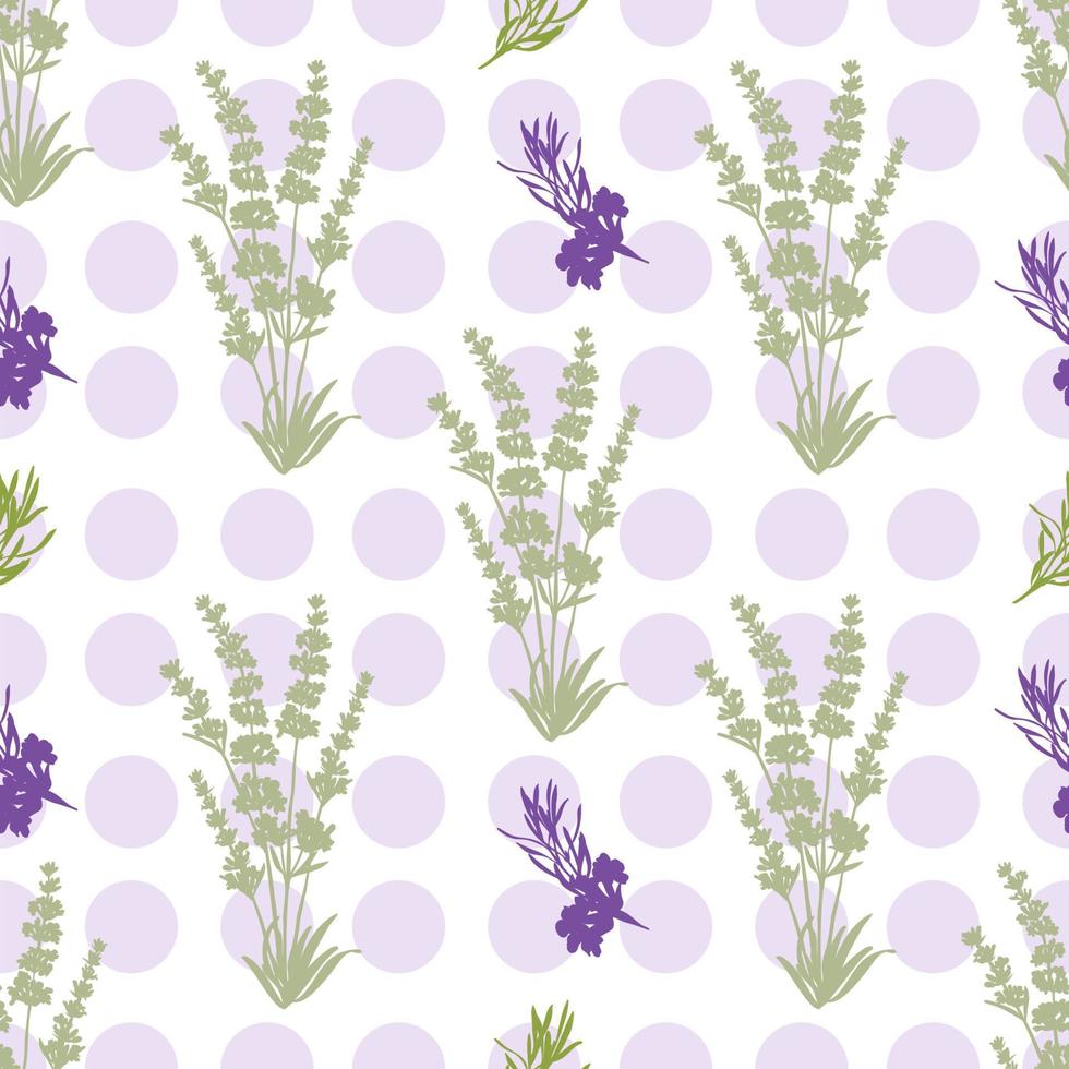 Seamless Lavender flowers background. Botanical illustration. vector