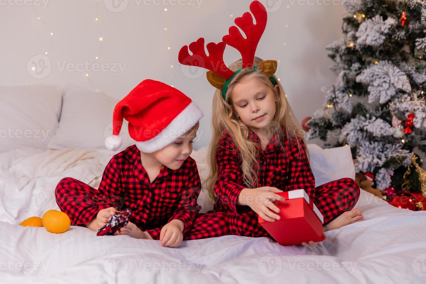two children at home in pajamas for Christmas are sorting presents and cuddling in bed against the background of a Christmas tree photo