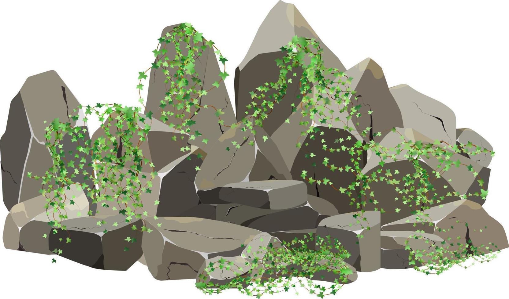 Collection of stones of various shapes and plants.Coastal pebbles,cobblestones,gravel,minerals and geological formations.Rock fragments,boulders and building material.Vector illustration . vector