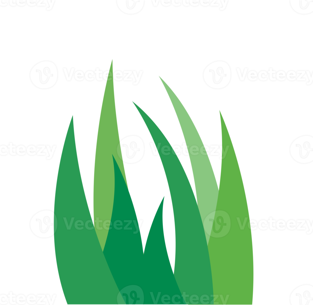 grass banner illustration png