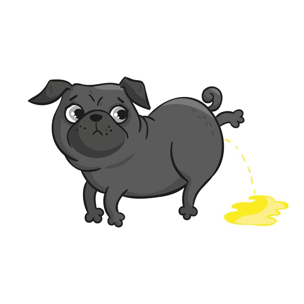Cute pug isolated on white background. vector