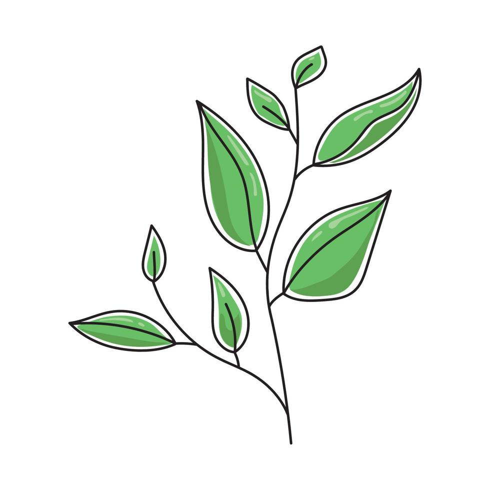 Vector illustration of a tea leaf.