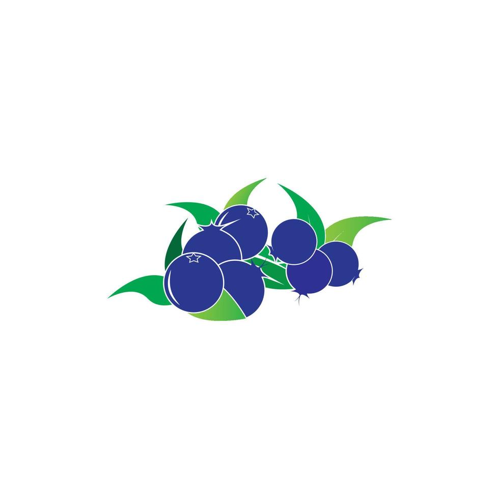 Blueberry logo vector template icon