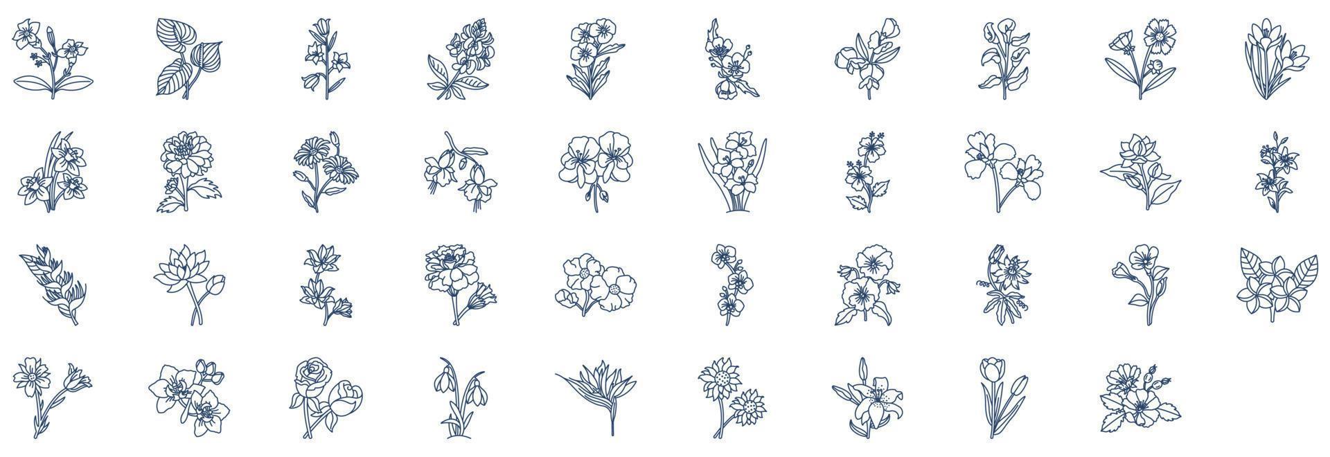 Collection of icons related to Flowers, including icons like Fuchsia, Daisy, Sunflower and more. vector illustrations, Pixel Perfect set