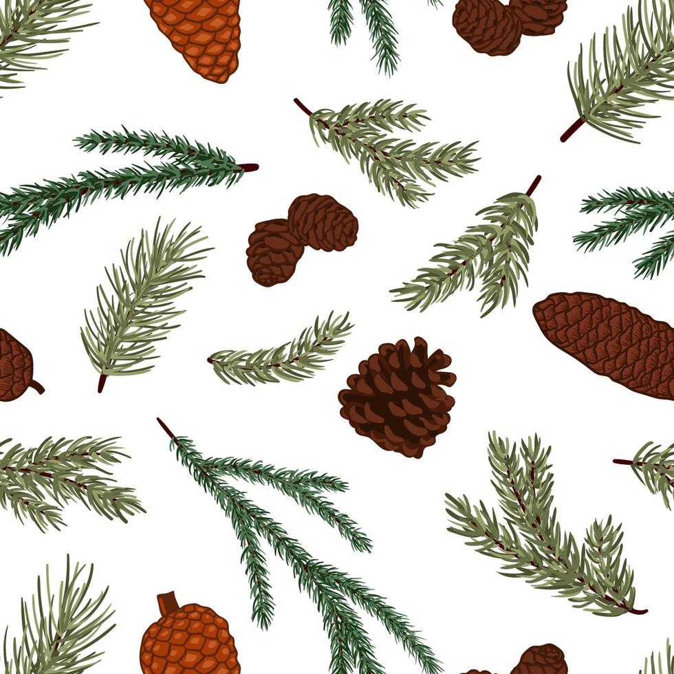 Conifer cones and branches vector seamless pattern. Pine, spruce, cedar, larch, fir tree cones, winter nature texture for textile, print, card, christmas, greetings, wallpapers, background