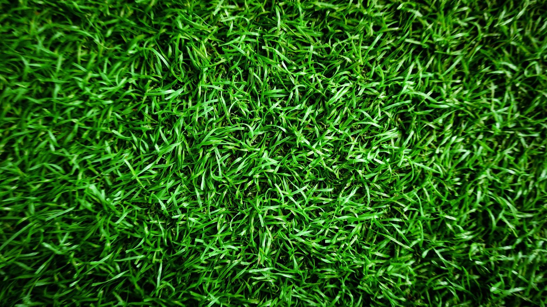 green grass background with blur overlay photo