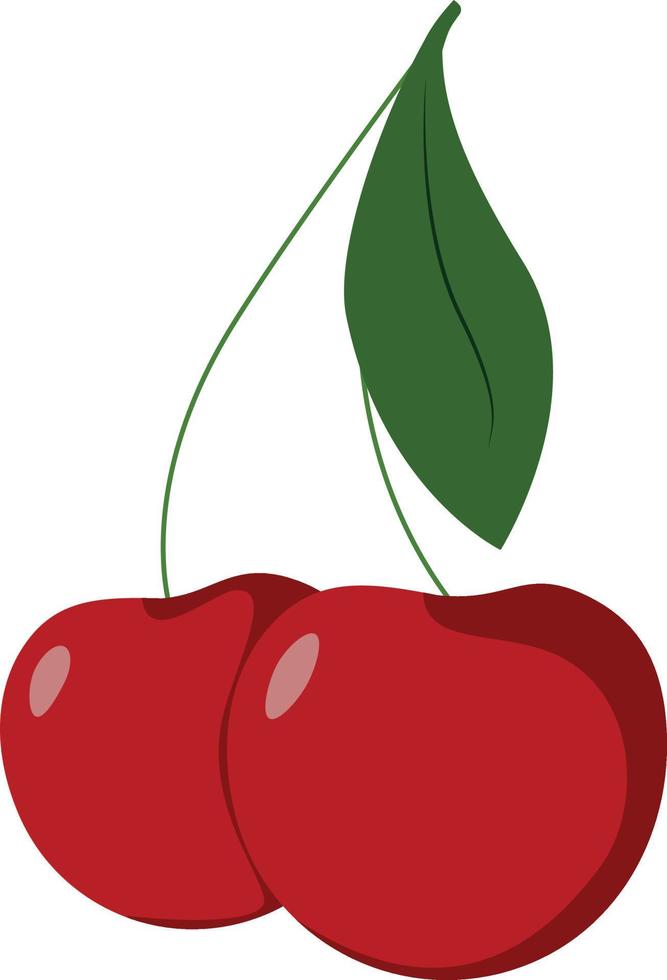 Two red cherries with a green leaf, vector illustration in a minimalist style