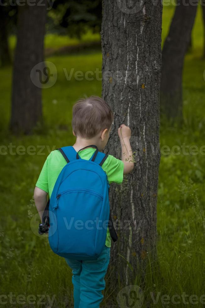 Portrait of a child, a boy against the background of plants in an open-air park. Children, Travel. Lifestyle in the city. Center, streets. photo