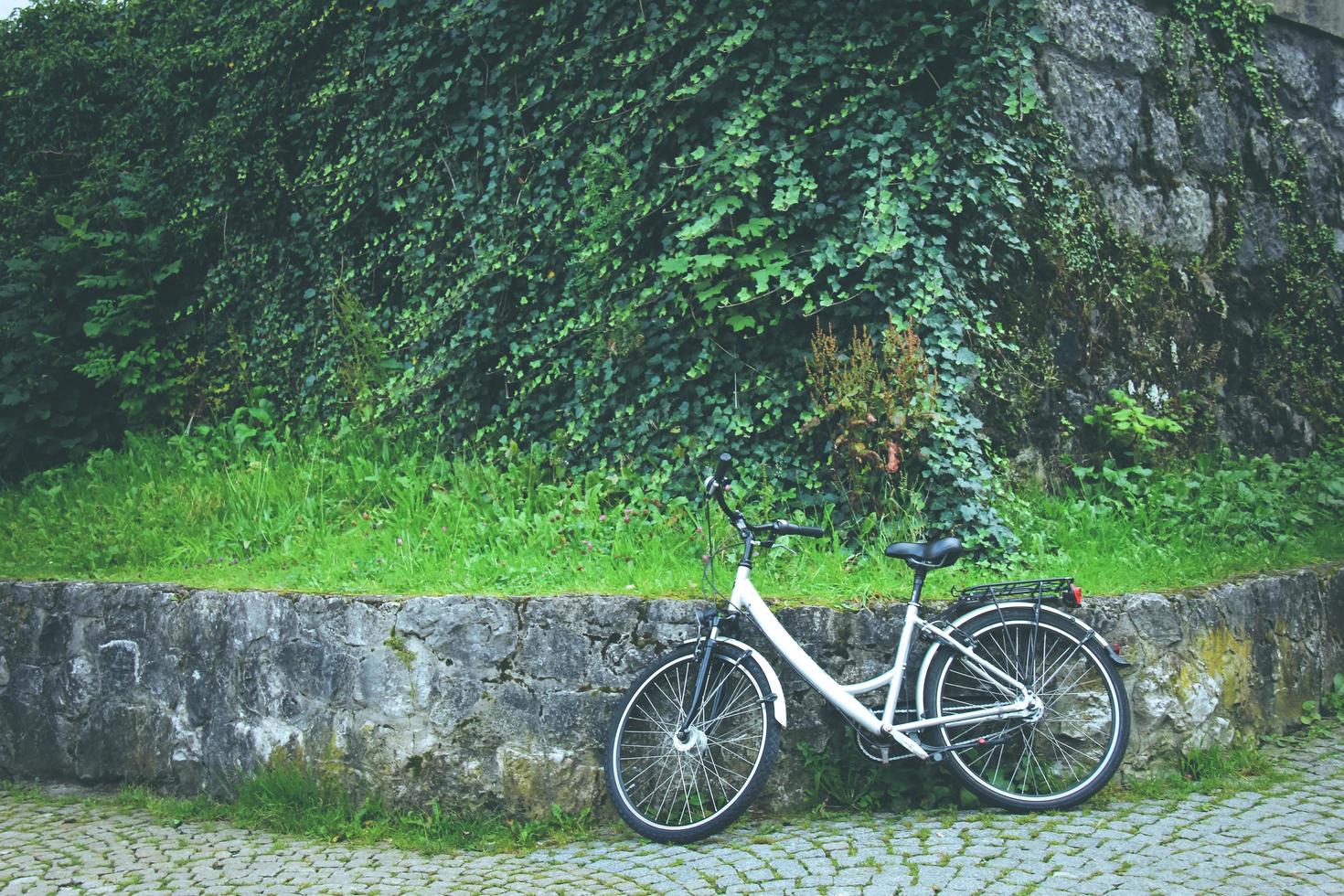 bicicleta en el parque foto