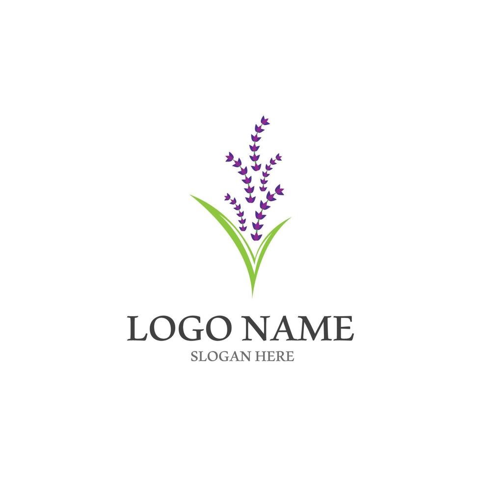 vector de logotipo de flor de lavanda fresca