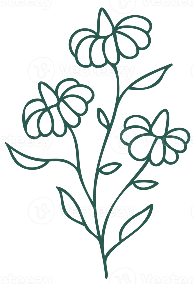 Floral line art linear botanical design element. Flower drawings with thin line. Collection of blooming hand drown flower, contour drawing. PNG with transparent background.