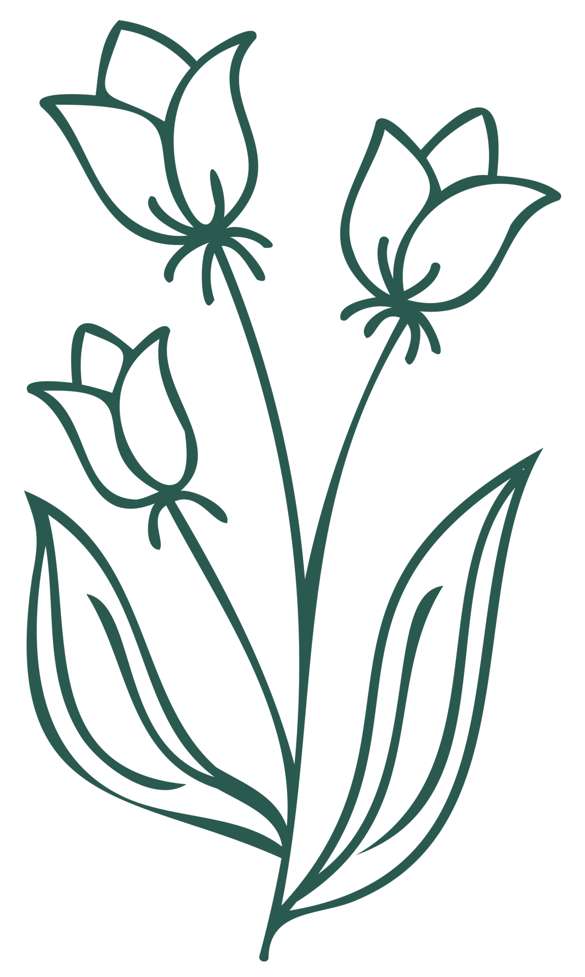 elemento de diseño botánico lineal de arte de línea floral. dibujos de