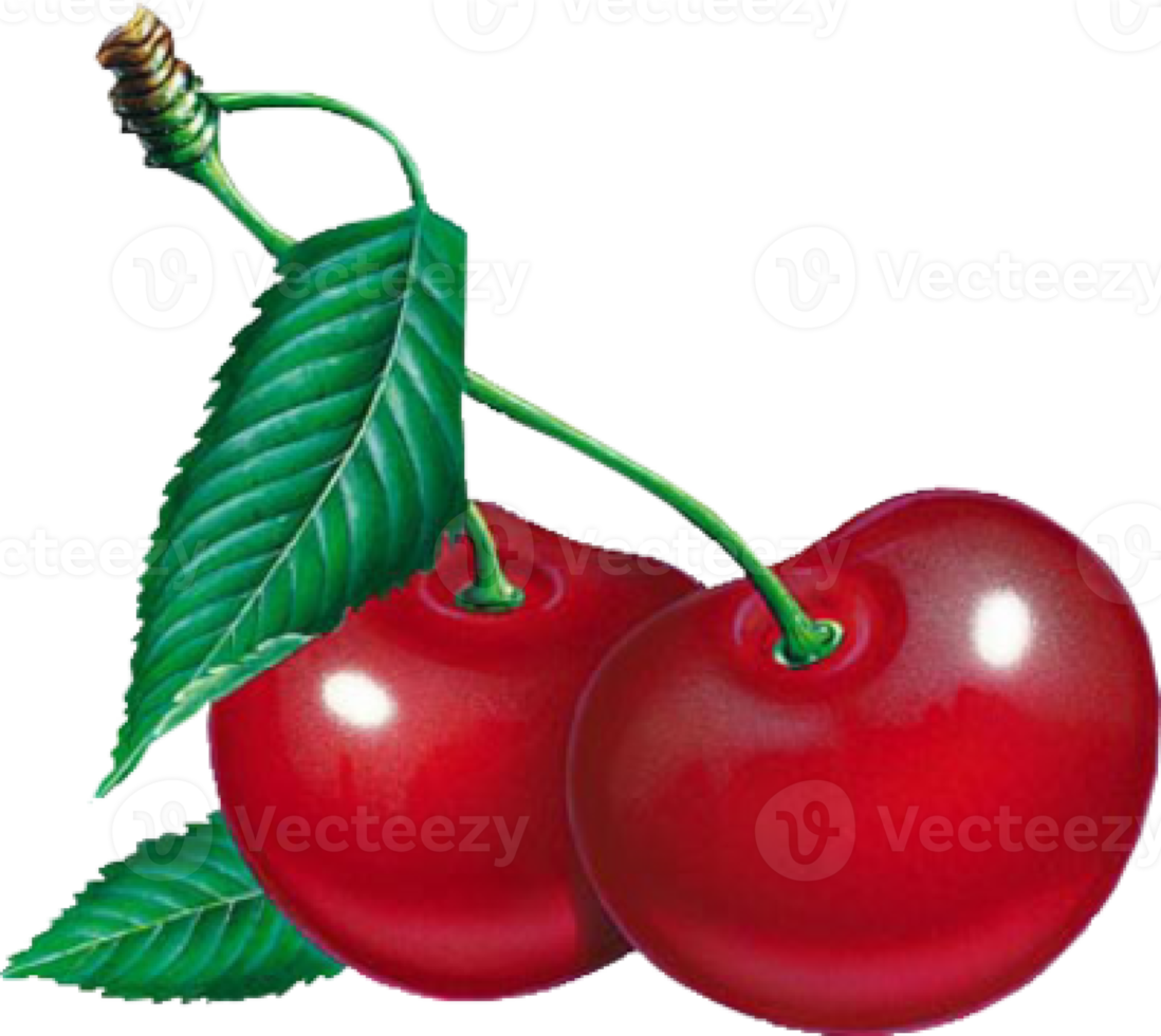 Red cherry with leaf on a transparent background png