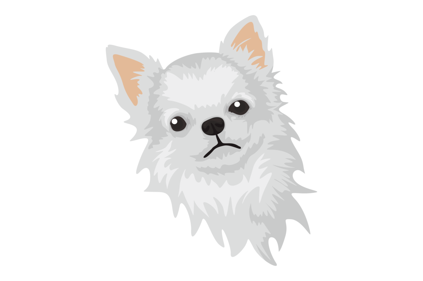 söt vit chihuahua hund png