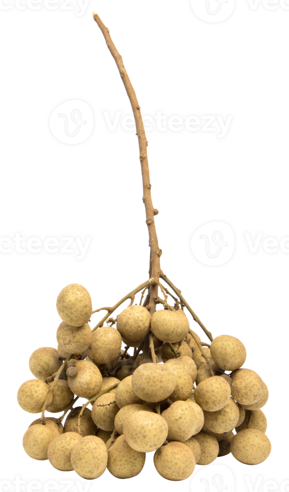 Fresh longan isolated png