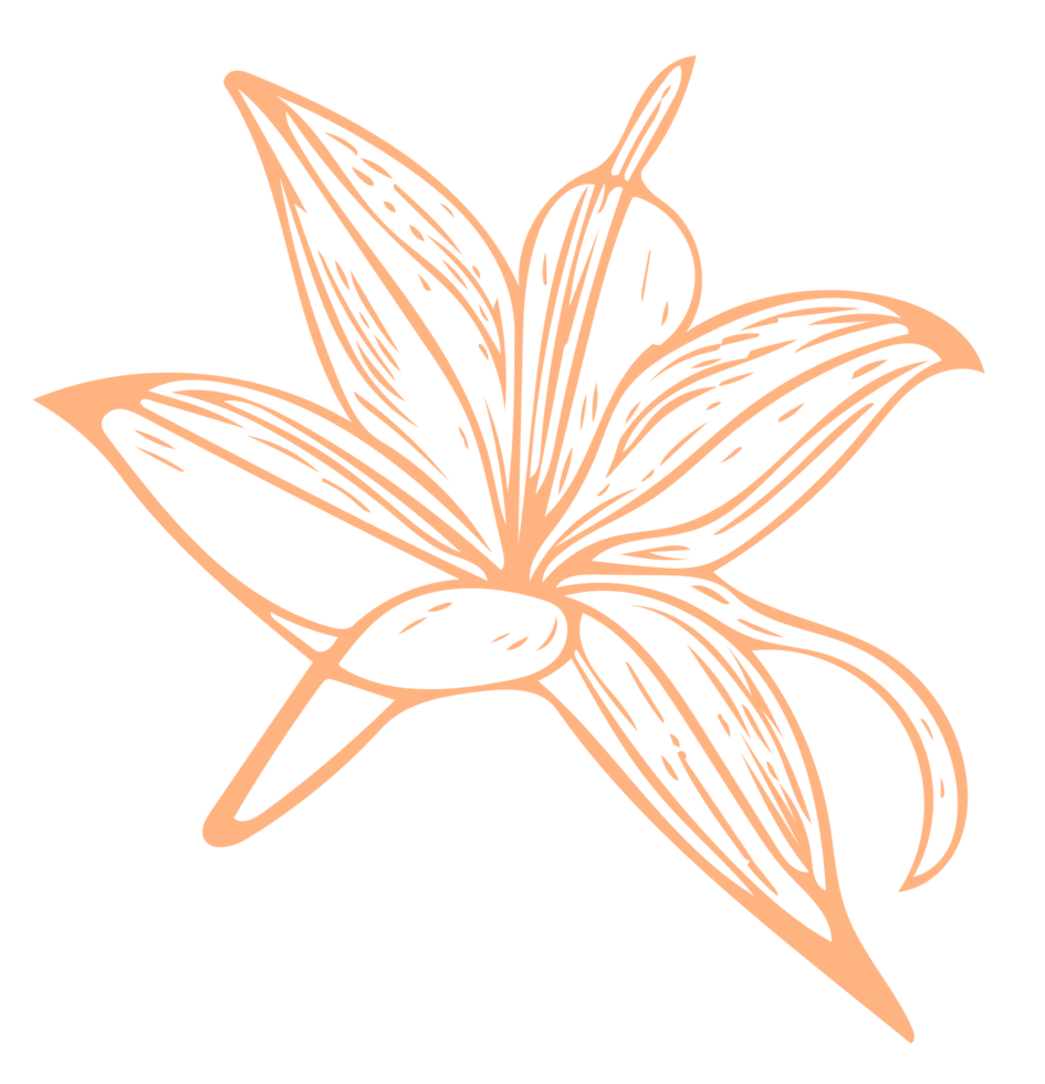 arte de linha de flores png