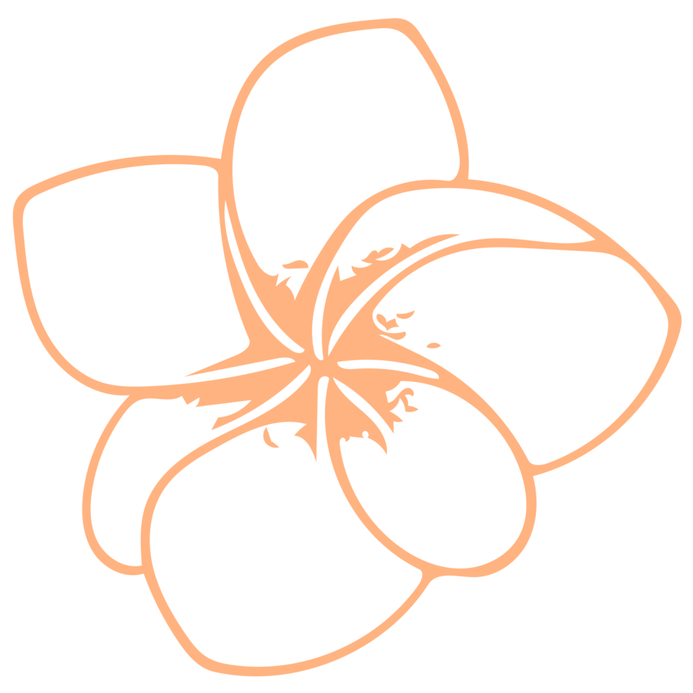 fiori linea art png