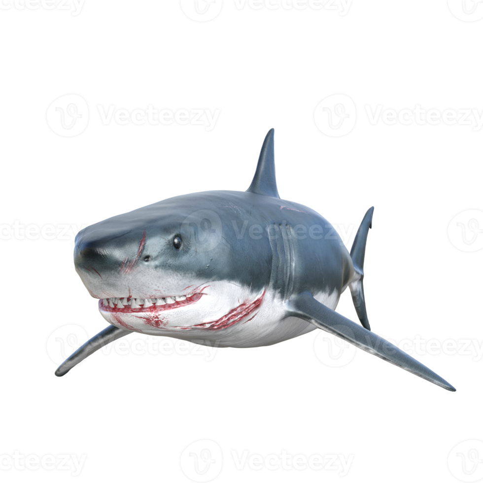 Shark predator isolated 3d render png