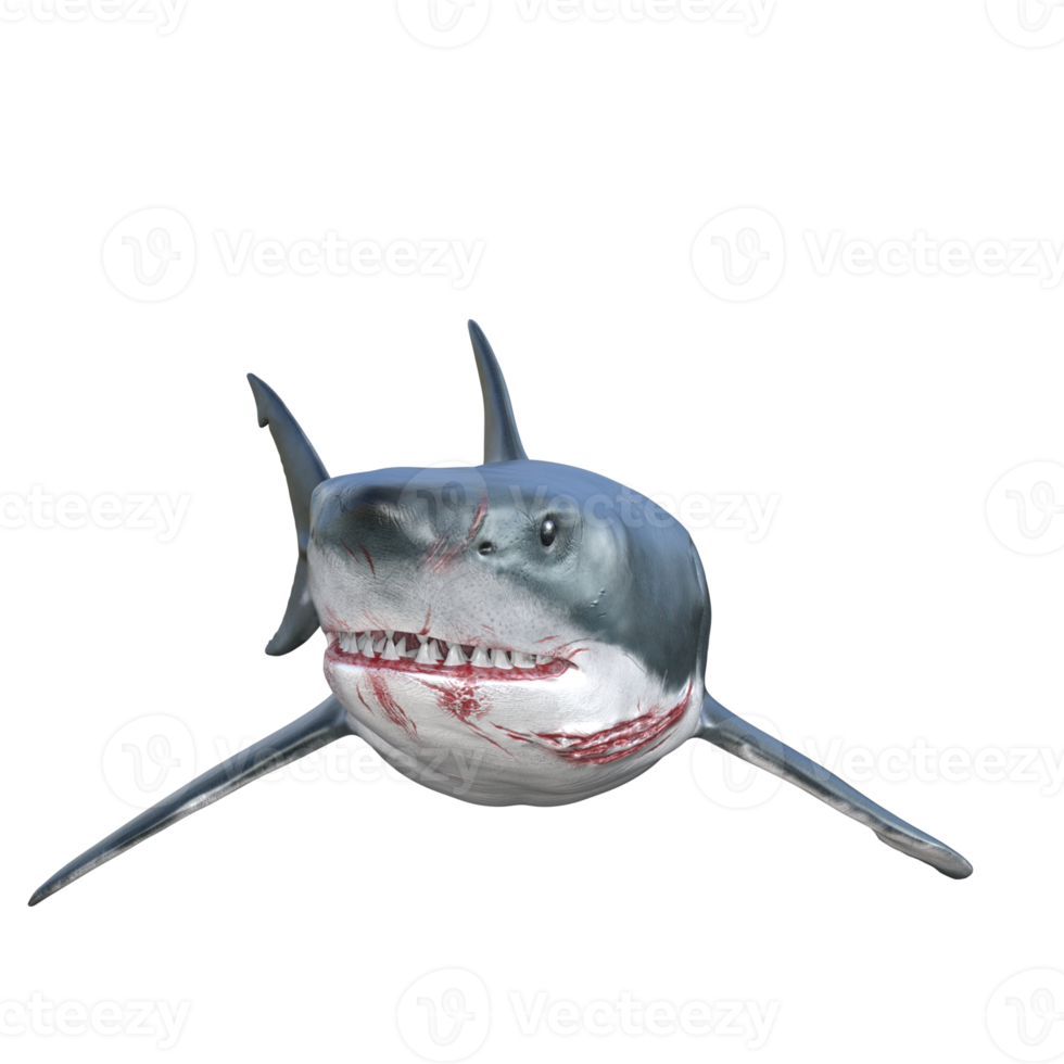 Shark predator isolated 3d render png