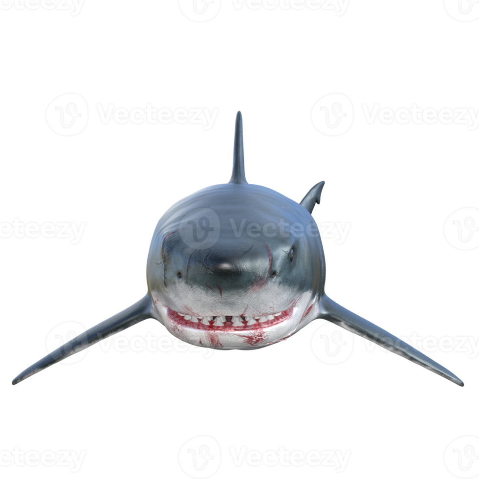 Shark predator isolated 3d render png