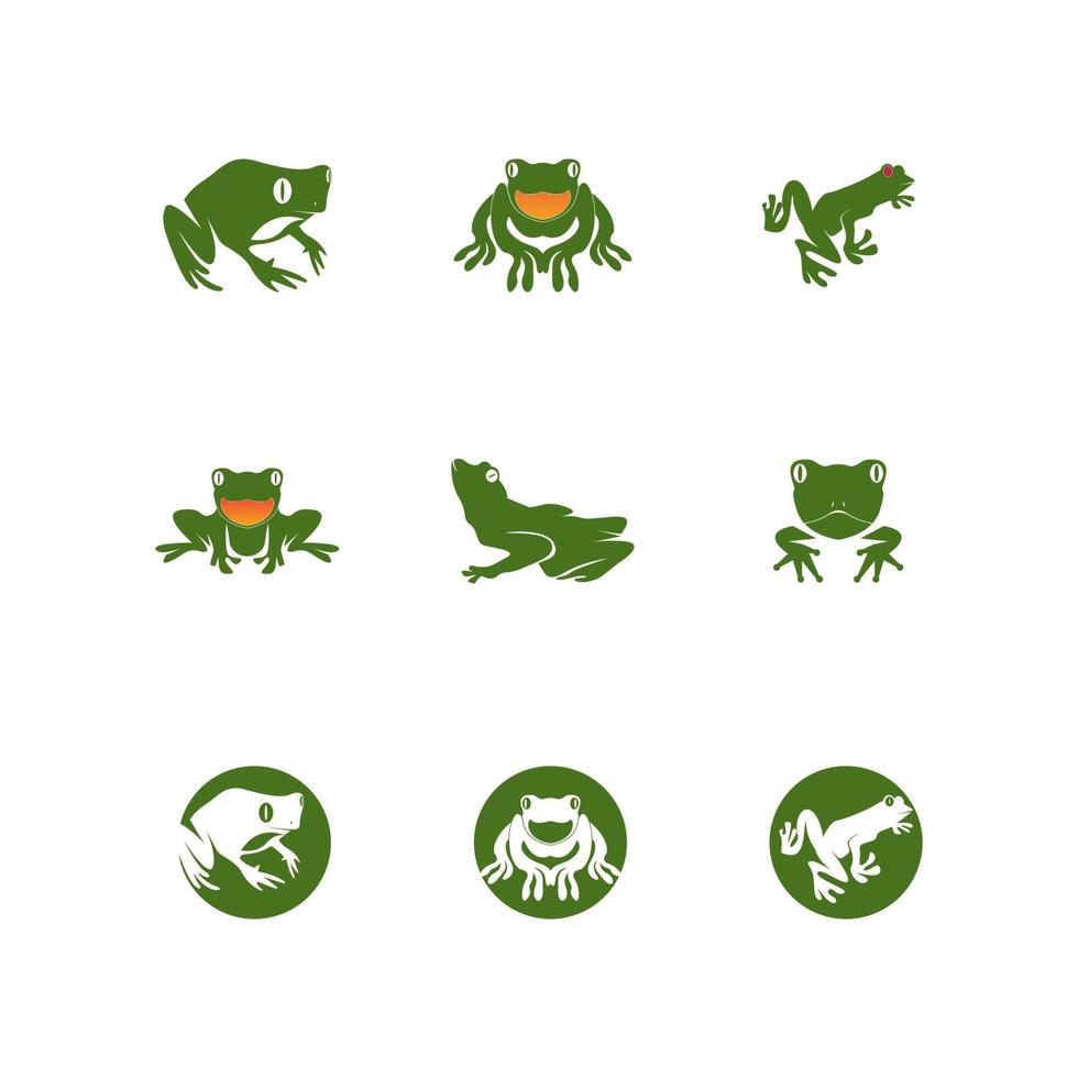 Green frog icon and symbol vector illustration