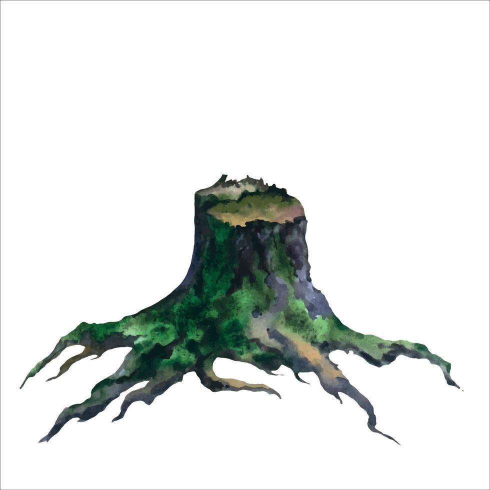 Picture of an old stump hand painted in watercolor on a white background vector