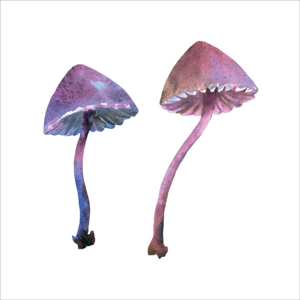 Watercolor illustration, fantasy toxic Halloween mushrooms, isolated on white background. vector