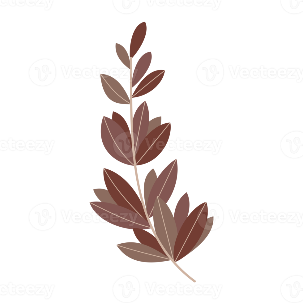 brown leaves element png