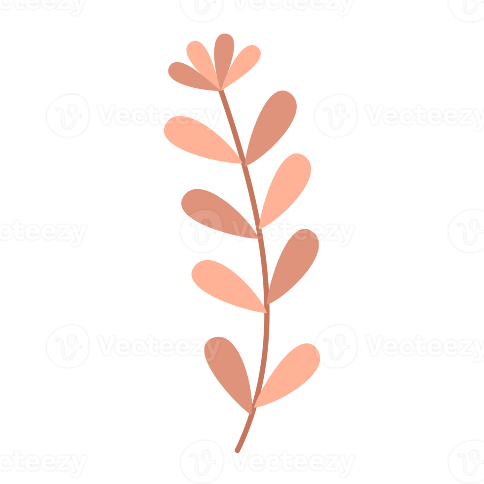 illustration of a leaf vintage ornament png