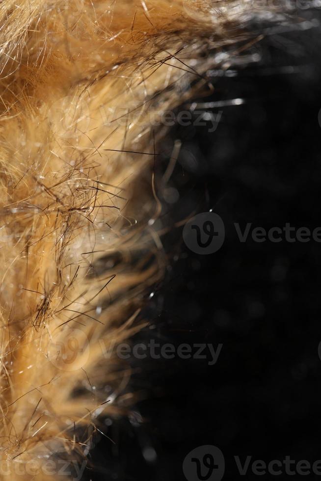 Artificial brown winter jacket hairs close up background stock photography high quality big size print photo