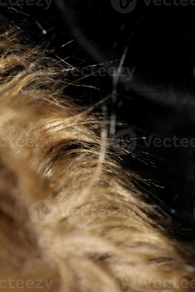 Artificial brown winter jacket hairs close up background stock photography high quality big size print photo