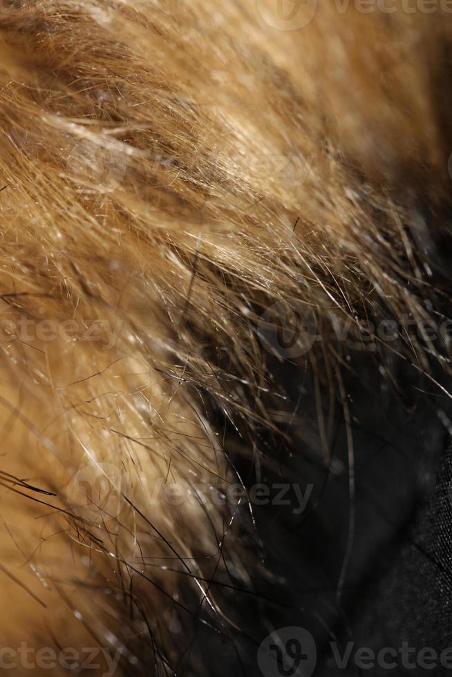 Artificial brown winter jacket hairs close up background stock photography high quality big size print photo