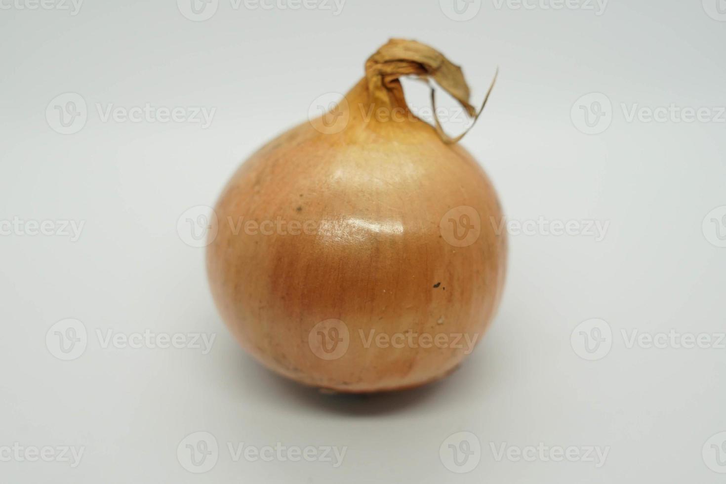onion with a white background. photo