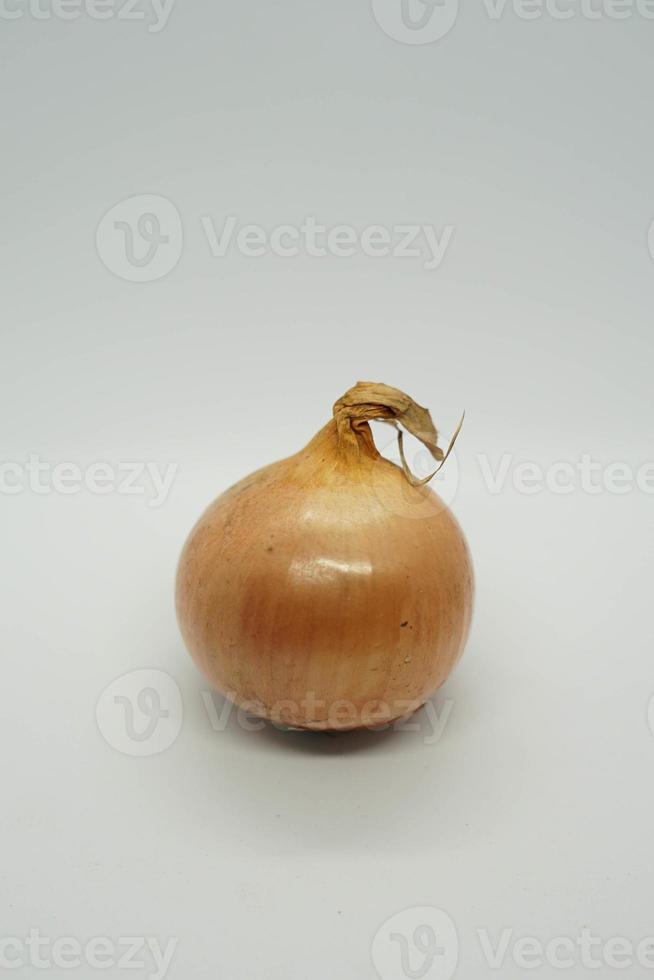 onion with a white background. photo