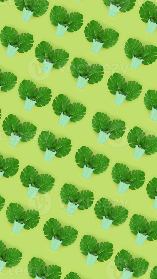Tropical palm monstera leaves lies in a pastel pails on a colored background. Flat lay trendy minimal pattern. Top view photo