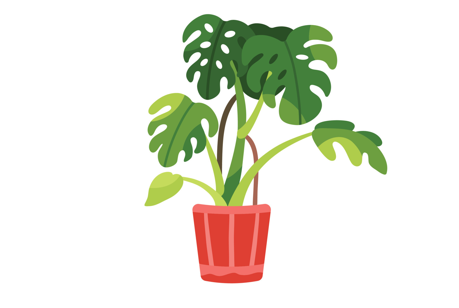 Plants, tropical leaves . Vector illustration 19653237 Vector Art at ...