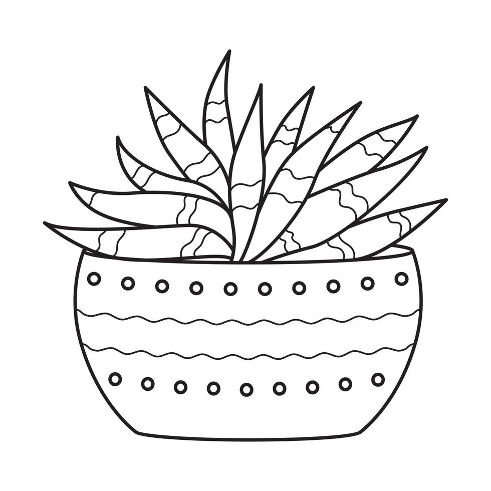 Vector outline aloe in pot. Indoor succulent plant with fleshy leaves. House plant for home and interior. Botanical doodle linear black and white illustration isolated on white background.