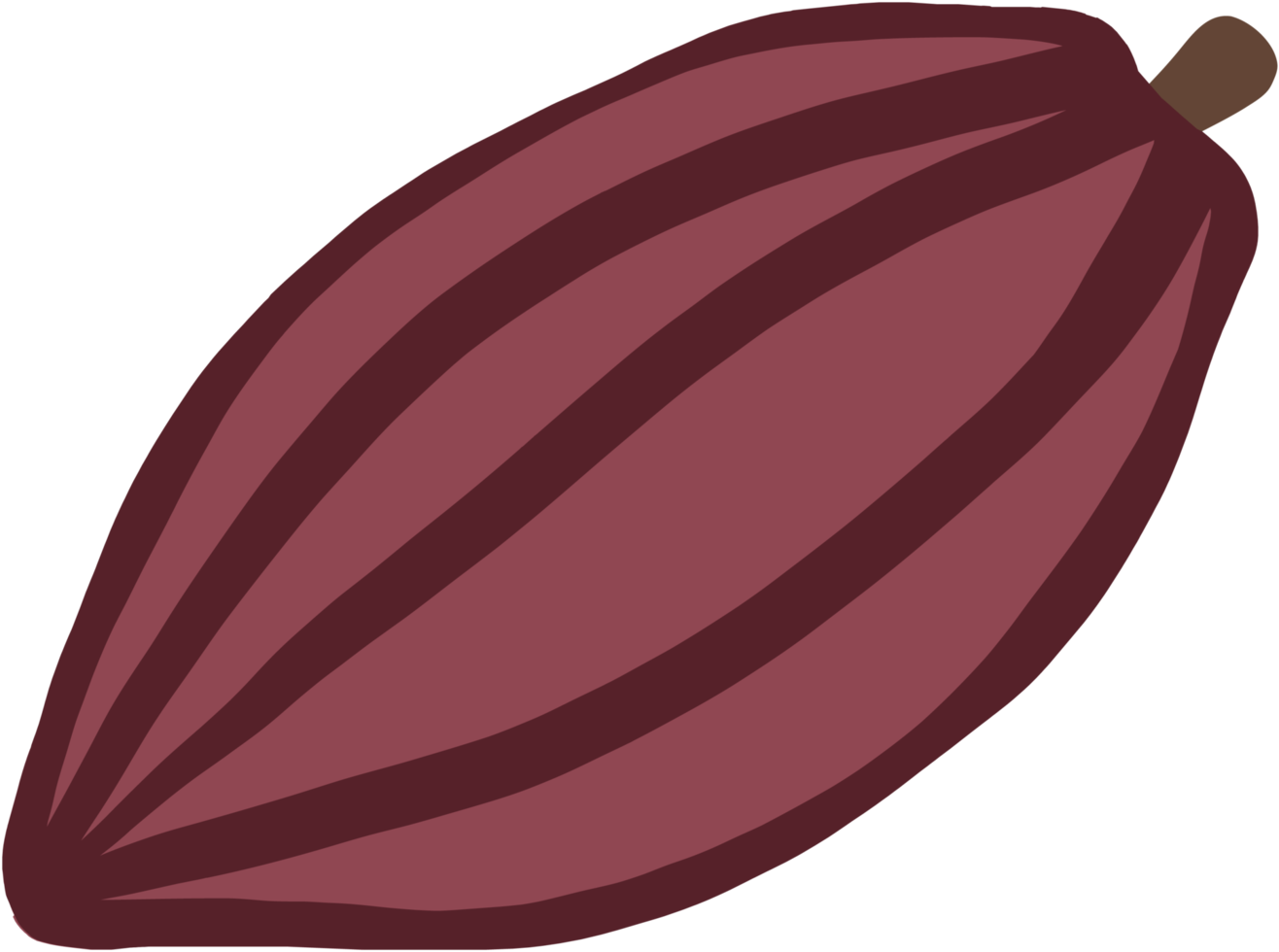 cacao fruta doodle dibujo a mano alzada diseño plano. png