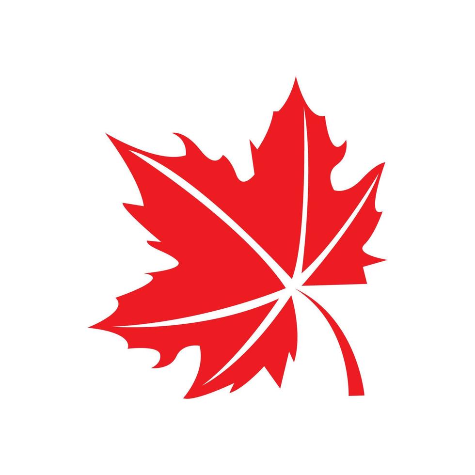 icon of a maple leaf. raster illustration, background logo template. vector