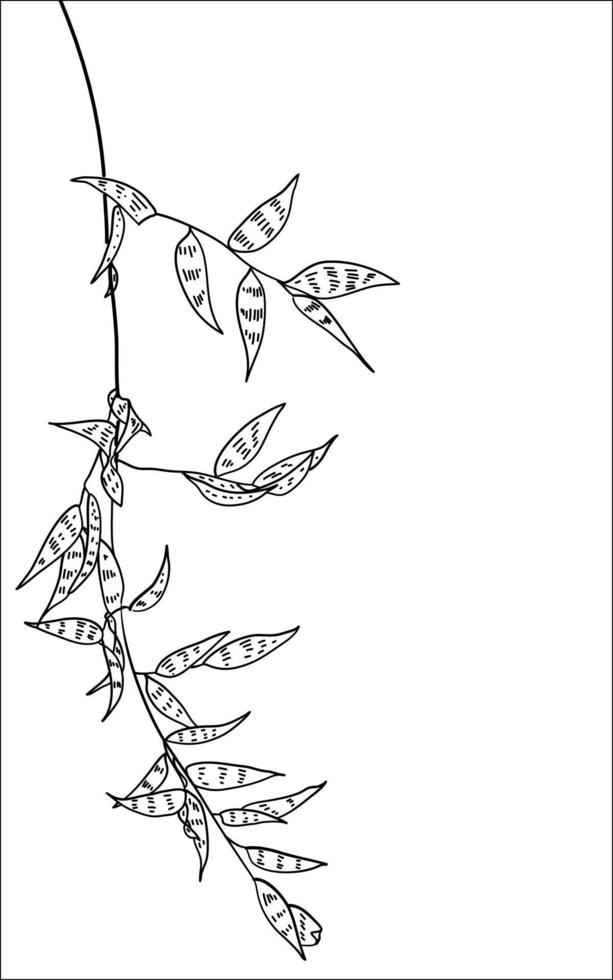 Handdrawn leaves illustration for social media nature background marketing vector