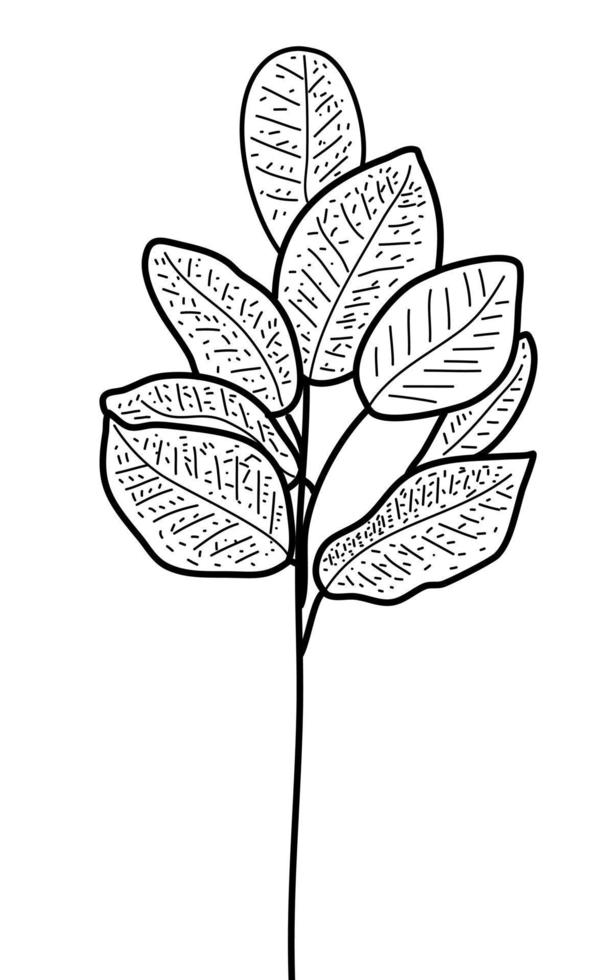 Handdrawn leaves illustration for social media nature background marketing vector