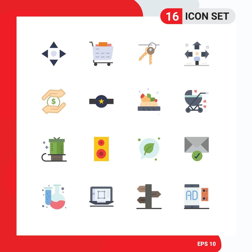 moderno conjunto de dieciséis plano colores y símbolos tal como mano moneda habitación problema usuario editable paquete de creativo vector diseño elementos