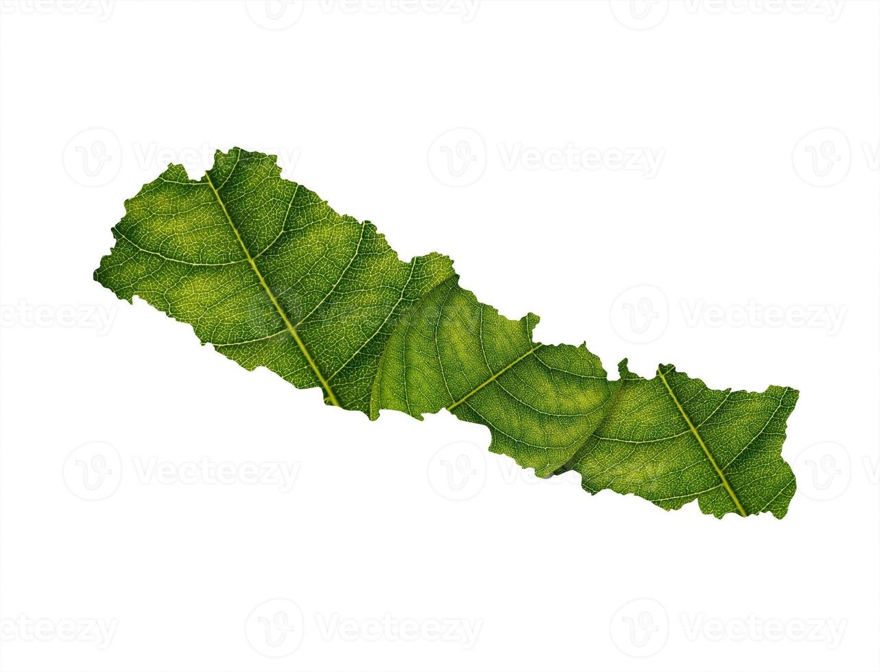 Nepal map made of green leaves on soil background ecology concept photo