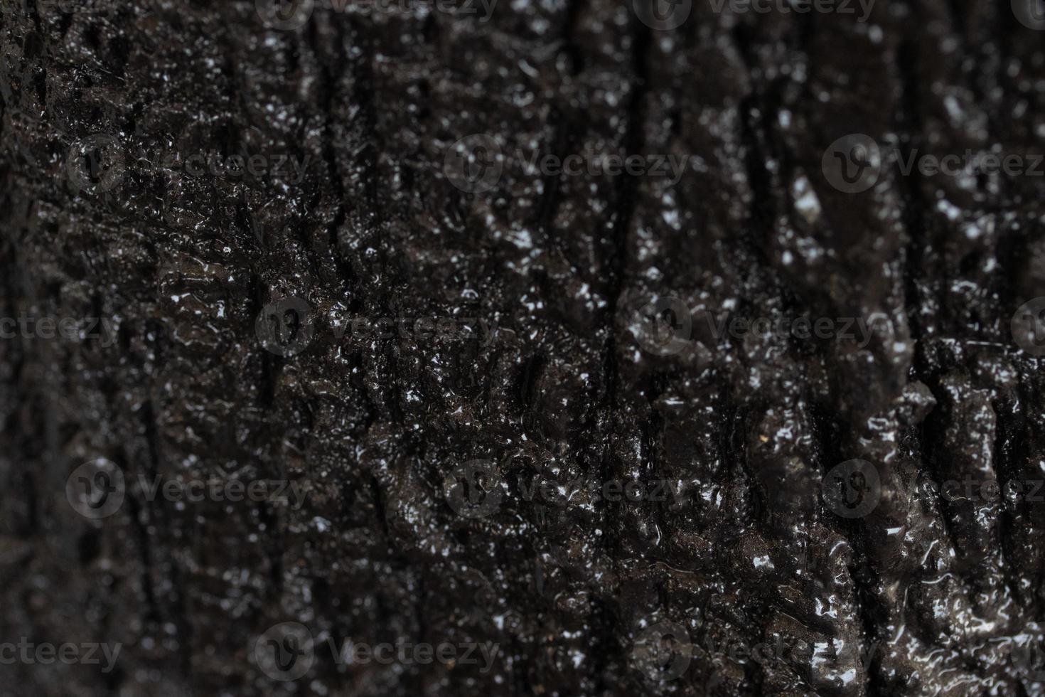 Wood texture background for inserting text photo
