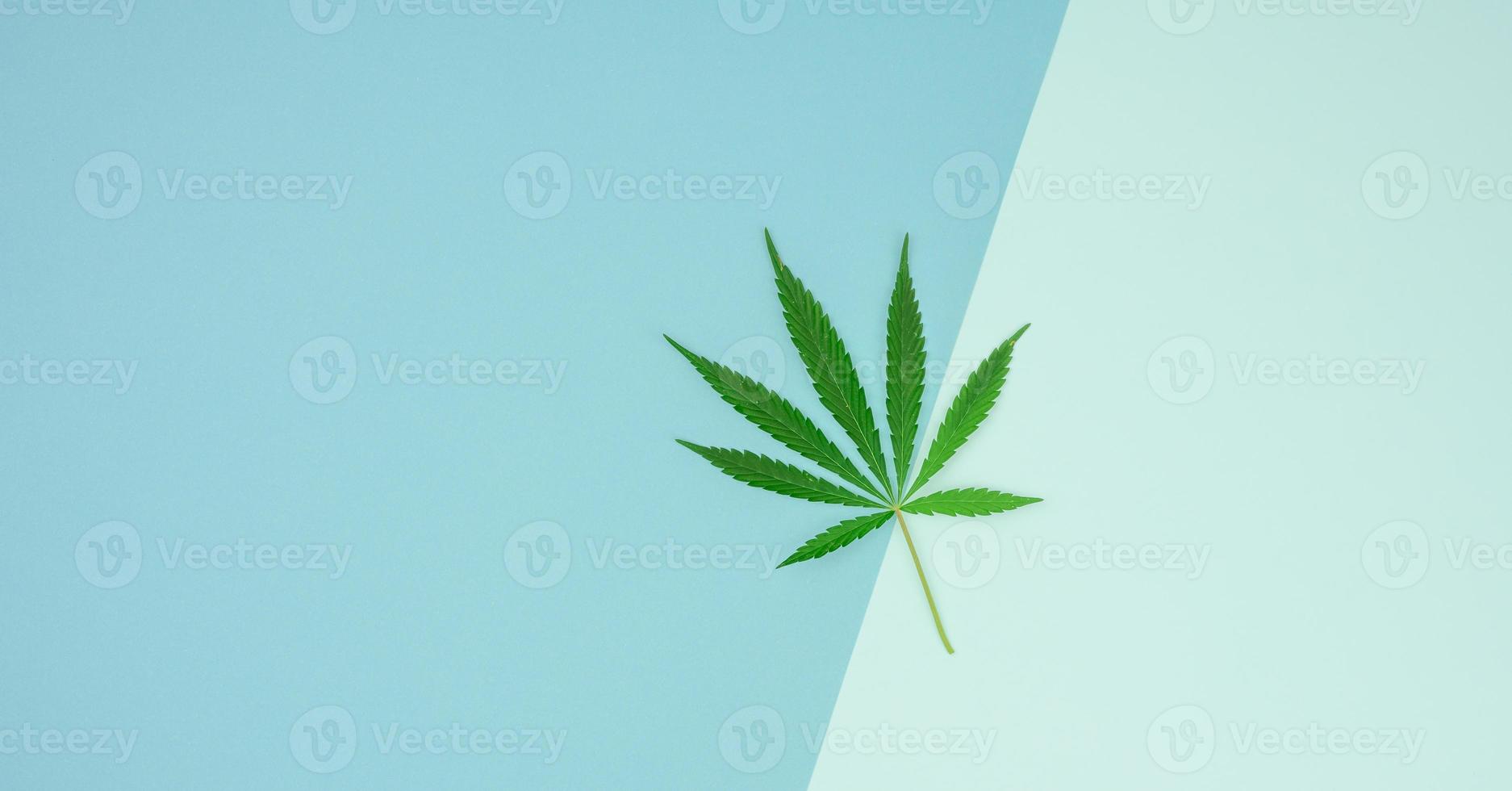 green cannabis leaf on blue background, concept of legalization as alternative treatment and pain relief photo