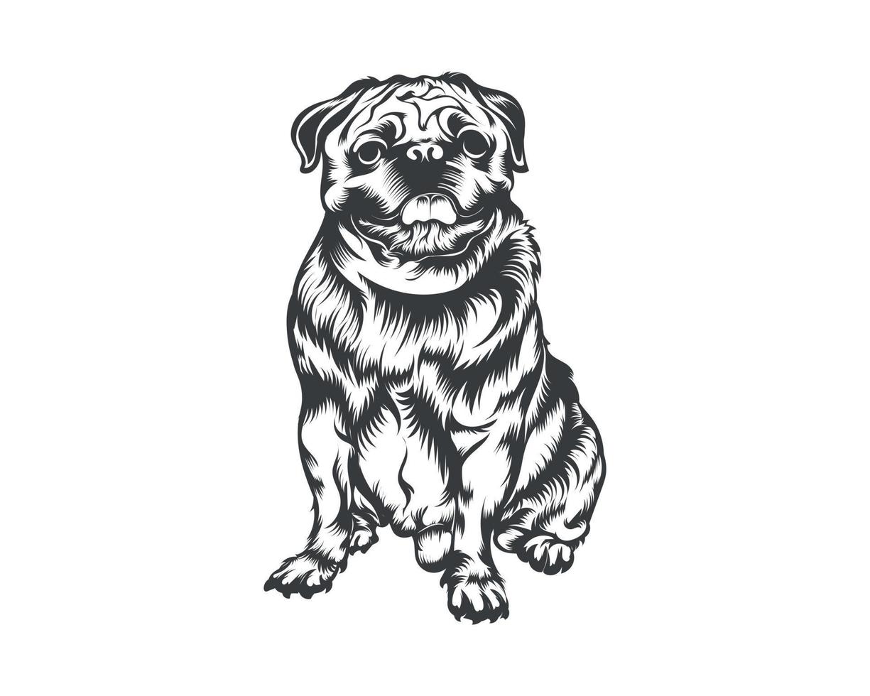 Ilustración de vector de raza de perro pug, vector de perro pug sobre fondo blanco para camiseta, logotipo y otros