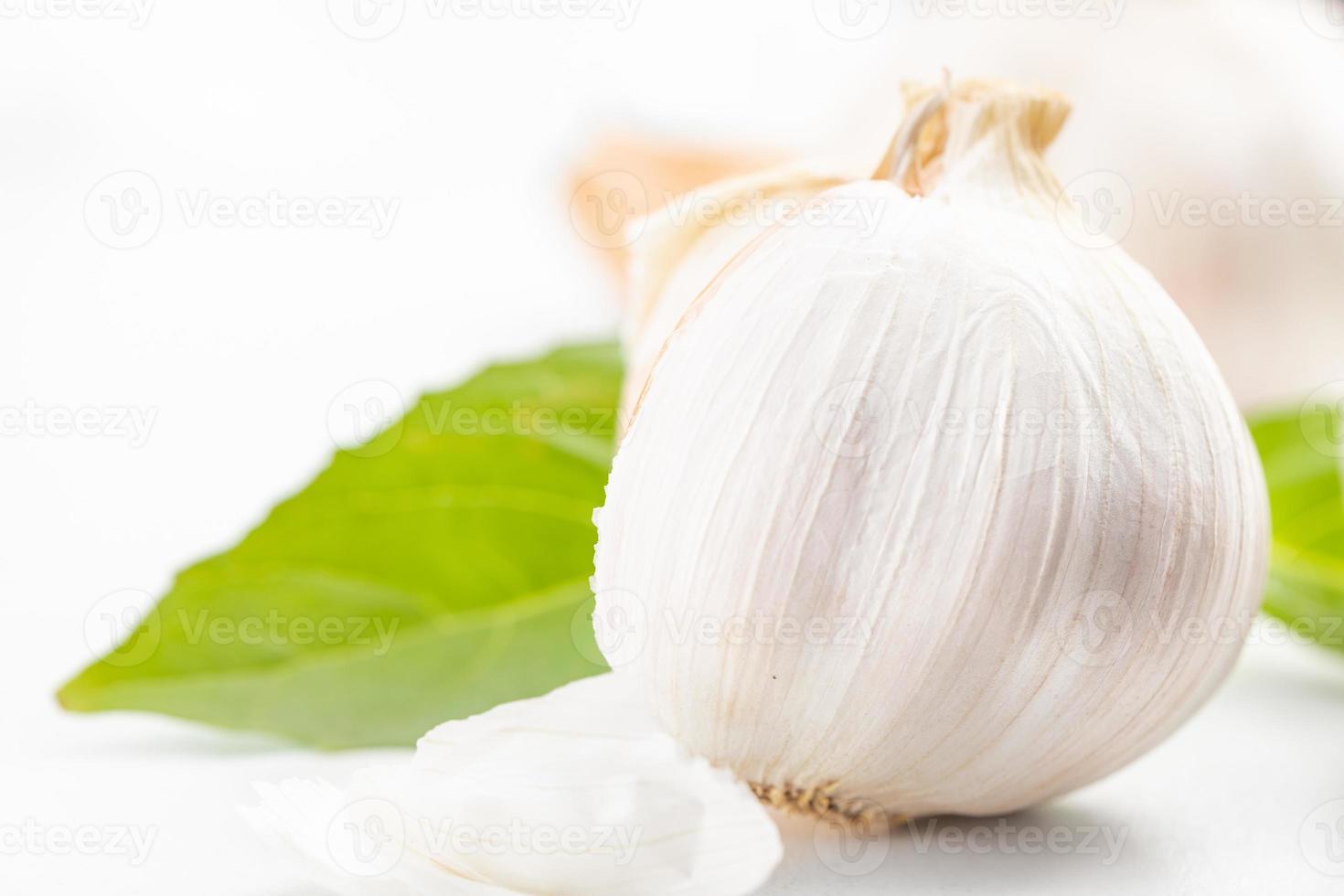 garlic and green leaves on a white background photo