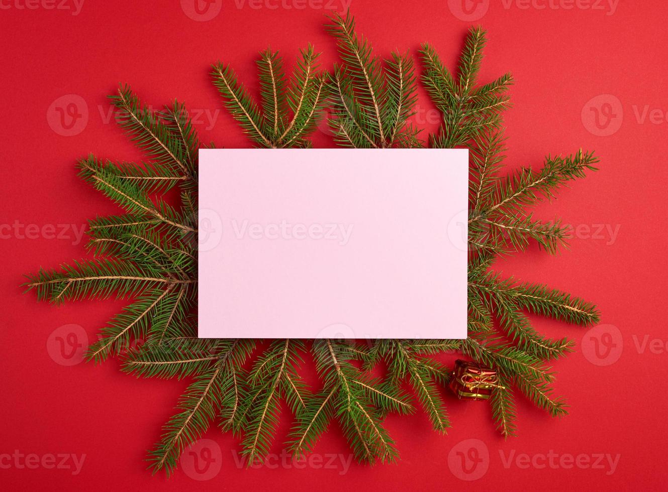 congratulatory Christmas background with an empty pink sheet and green branches of spruce photo