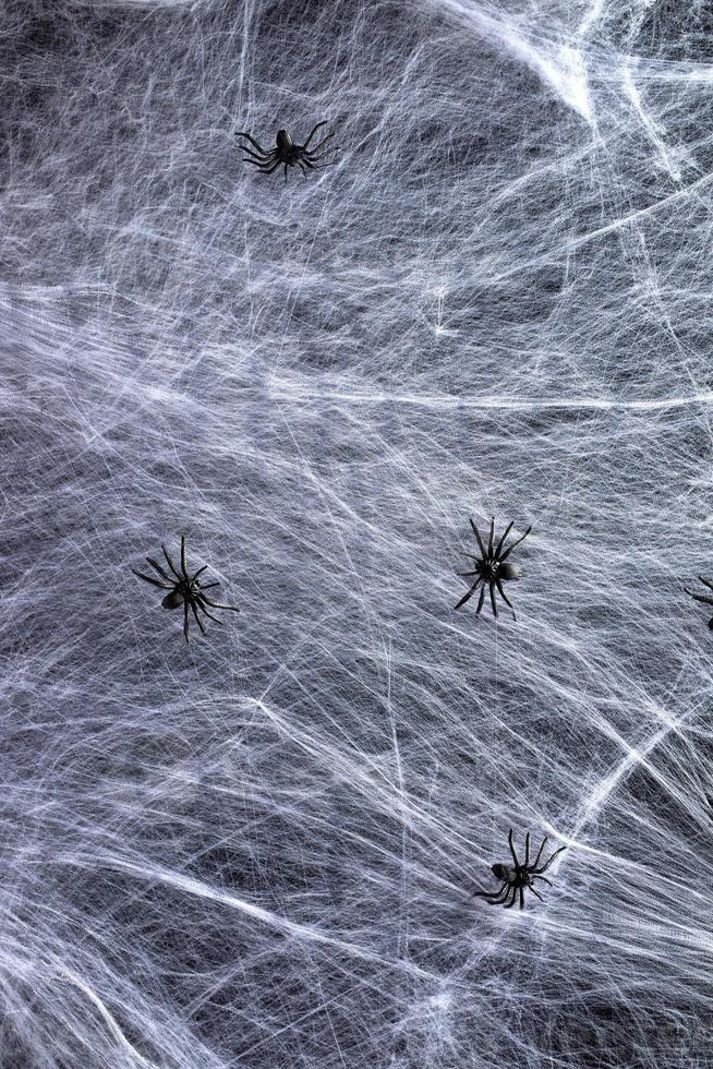 estirado blanco web y negro arañas, antecedentes para el fiesta Víspera de Todos los Santos foto